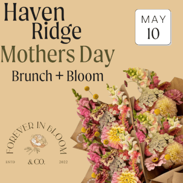 Haven Ridge Eco-tourism accommodation, perfect for , conferences, team and family getaways and business retreats